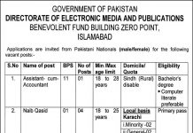 Assistant Accountant Directorate of Electronic Media and Publications Jobs July 26, 2020