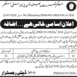 Assistant Professor (BPS-19) Begum Nusrat Bhutto Women University Sukkur Jobs 25 July 2020