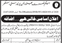 Assistant Professor (BPS-19) Begum Nusrat Bhutto Women University Sukkur Jobs 25 July 2020
