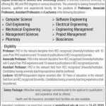 Assistant Professor Capital University of Science and Technology 20 July 2020