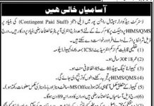 Data Entry Operator District Headquarter Hospital Rajanpur Jobs July 28, 2020