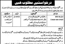 Driver Forest Department Khyber Pakhtunkhwa Jobs 25 July 2020