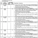 English Teacher Punjab Danish Schools and Centers of Excellence Authority Jobs July 27, 2020
