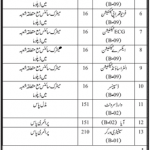ICU Technician (B-09) Liaquat University Hospital Hyderabad/Jamshoro Jobs 25 July 2020
