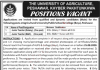 Jobs in Agriculture University Peshawar AUP 31 July 2020 for Teachers