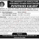 Jobs in Agriculture University Peshawar AUP 31 July 2020 for Teachers