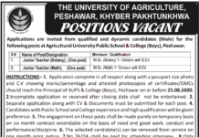 Jobs in Agriculture University Peshawar AUP 31 July 2020 for Teachers