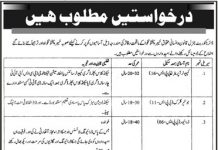 Junior Clerk Department Legal and Human Rights Khyber Pakhtunkhwa Jobs July 30, 2020