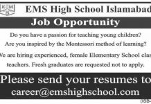 Montessori Teacher EMS High School Jobs July 29, 2020