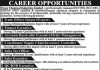 Sales Executive Power Chemical Industries Limited Faisalabad Jobs July 26, 2020