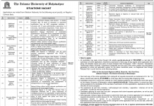 Store Keeper (BPS-13) The Islamia University of Bahawalpur Jobs July 27, 2020