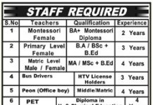 Teacher Warsak Model School and College Peshawar Jobs July 27, 2020