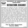 University of Agriculture Jobs 01 July 2020