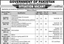 Assistant Ministry of Water Resources Government of Pakistan Jobs August 11, 2020