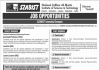 Assistant Professor Shaheed Zulfikar Ali Bhutto Institute of Science & Technology (SZABIST) Jobs August 20, 2020