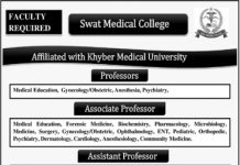 Assistant Professor Swat Medical College Jobs August 24, 2020