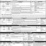 Assistant Professor PPSC Advertisement No. 22/2020 Specialized Healthcare & Medical Education Department Jobs August 22, 2020