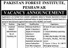 Assistant Pakistan Forest Institute Peshawar Jobs August 17, 2020