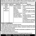 Assistant Pakistan Forest Institute Peshawar Jobs August 17, 2020