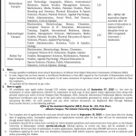 Associate Lecturer The Islamia University of Bahawalpur Jobs August 19, 2020