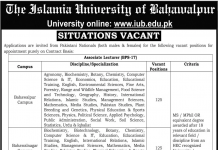 Associate Lecturer The Islamia University of Bahawalpur Jobs August 19, 2020