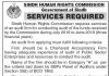 Audit Firm Sindh Human Rights Commission Karachi Jobs August 04, 2020