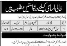 Civil Mess Waiters Pak Army 56 Punjab Rajment Mlair Cantt Jobs August 07, 2020