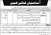 Civil Teacher Garrison HRDC 11 Cover Peshawar Cantt Jobs August 05, 2020