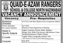 Computer Lab Incharge Quaid-E-Azam Rangers School and College North Nizamabad Jobs August 18, 2020