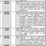 Consultant (Physician) Government Said Mitha Teaching Hospital Lahore Jobs August 11, 2020