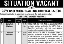Consultant (Physician) Government Said Mitha Teaching Hospital Lahore Jobs August 11, 2020