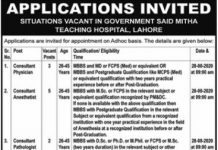 Consultant Physician Government Syed Mitha Teaching Hospital Lahore Jobs August 09, 2020