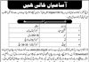 Deputy Commissioner Pakistan Testing Services Jobs August 16, 2020