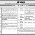 Deputy Director Municipal Services Delivery Program Jobs August 21, 2020