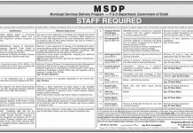 Deputy Director Municipal Services Delivery Program Jobs August 21, 2020