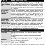 Divisional Head (Central Processing unit) The Bank of Punjab (BOP) Jobs August 12, 2020