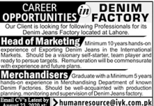 Head of Marketing Denim Jeans Factory August 10, 2020