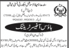 House Officer Sindh Employees Social Security Institution Jobs August 08, 2020