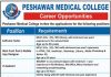 IT Assistant Peshawar Medical College Jobs August 16, 2020