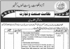 Junior Clark Department Industries and Trade Azad Jammu Kashmir Jobs August 09, 2020