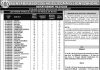 Lecturer Punjab Higher Education Department PPSC Advertisement No. 24/2020 Jobs August 23, 2020