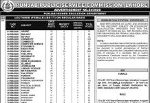 Lecturer Punjab Higher Education Department PPSC Advertisement No. 24/2020 Jobs August 23, 2020