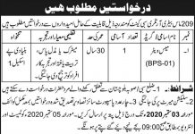Mess Waiter 209 Mass Battery Artillery Sibi Cantt Jobs August 19, 2020