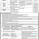 Naib Qasid Auditor General of Pakistan Jobs August 10, 2020