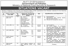 Naib Qasid Ministry of National Food Security & Research Jobs August 23, 2020