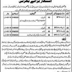 Naib Qasid Office Tehsil Minicipal Administration Jobs August 09, 2020