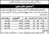 Naib Qasid Office Tehsil Municipal Administration Jobs August 17, 2020