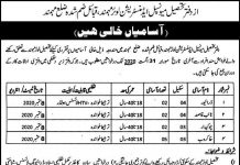 Naib Qasid Office Tehsil Municipal Administration Jobs August 17, 2020