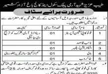 Naib Qasid Tayyab Aziz Shaheed Army Public School and College Azad Kashmir Jobs August 19, 2020