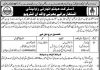 Polio Worker District Health Authority Rawalpindi Jobs August 06, 2020